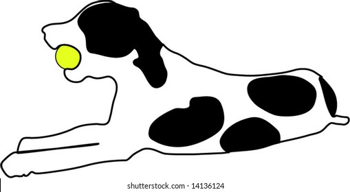 dog playing with yellow ball
