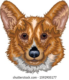 dog poligonal animal portrait sketch