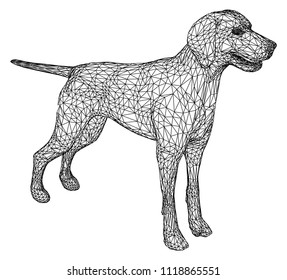 Dog polygonal lines illustration. Abstract vector dog on the white background