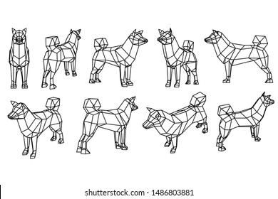 Dog polygonal lines illustration. Abstract vector dog on the white background