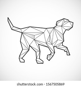 Dog polygonal lines illustration. Abstract vector dog on the white background