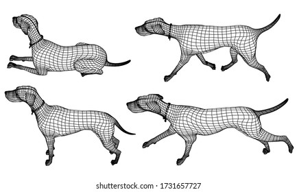 Dog polygonal lines illustration. Abstract vector dog on the white background. Lying down, sitting, walking, running dog.