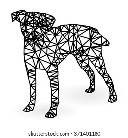 Dog polygonal style