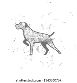 dog.  Polygonal wireframe dog silhouette. low poly vector illustrations on background of points and lines.