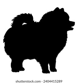 Dog Pomeranian spitz silhouette Breeds Bundle Dogs on the move. Dogs in different poses.
The dog jumps, the dog runs. The dog is sitting lying down is playing
