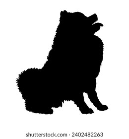 Dog Pomeranian spitz silhouette High quality  Breeds Bundle Dogs on the move. Dogs in different poses.
 jumps,  runs. dog is sitting. The dog is lying down. The dog is playing