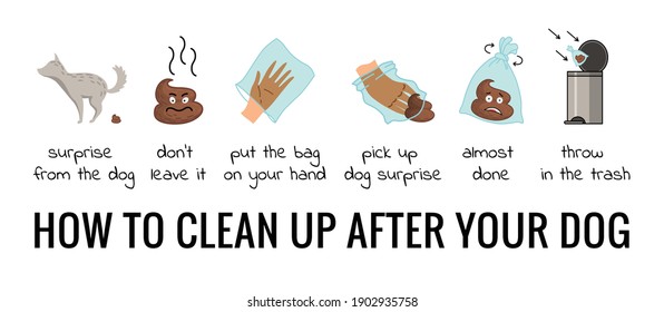 Dog Poo Clean Steps Infographic Set Stock Vector (Royalty Free ...