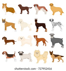 Dog, pooch, breed, and other web icon in cartoon style.Dalmatian, shepherd, terrier, icons in set collection.