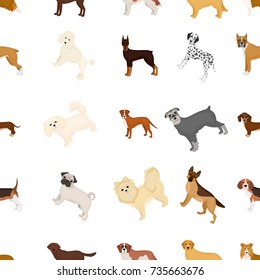Dog, pooch, breed, and other web icon in cartoon style.Dalmatian, shepherd, terrier, icons in set collection.