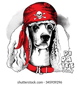 Dog Poodle in a red pirate bandana. Vector illustration.