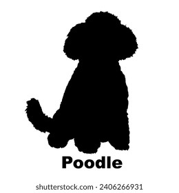 Dog Poodle silhouette Breeds Bundle Dogs on the move. Dogs in different poses.
The dog jumps, the dog runs. The dog is sitting lying down playing
