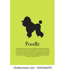 Dog poodle silhouette poster vector illustration design