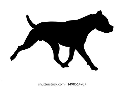 Dog portrait of American Staffordshire pit bull terrier vector silhouette isolated. Dogo Argentino. Guard sign. Beware of dog. Stafford shire.