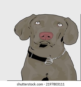 Dog portrait, Dog art, Vector art, Dog illustration
