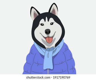 Dog portrait cartoon hand drawn, Siberian Husky wearing Jackets Puffer, Popular Dog Breeds, Vector illustration