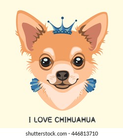Dog portrait Chihuahua with a crown on head