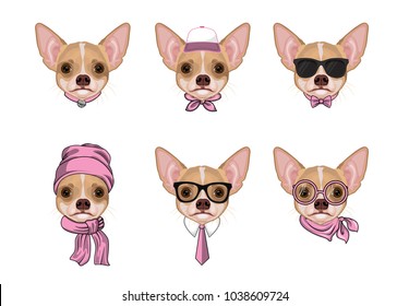 Dog portrait Chihuahua with various ornaments on the head. Vector Illustration.