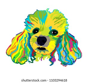 Dog Portrait Face Colourful