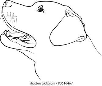 dog portrait - freehand on a white background, vector illustration