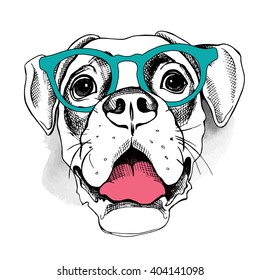 Dog portrait in a glasses. Vector illustration.