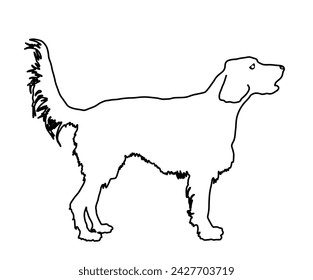 Dog portrait of Golden Retriever vector line contour silhouette illustration isolated on white background. Beware of dog. Friendly family dog. Labrador retriever graphic.