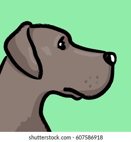 Dog portrait green background