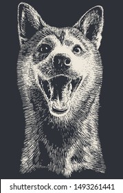 Dog portrait hand drawn vector illustration, white over black like a chalk over blackboard! Highlights only! 1 color print. Enjoy!