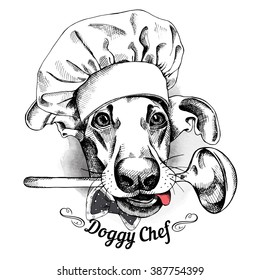 Dog portrait in a hat of chef and with ladle. Vector illustration.