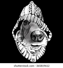 Dog portrait in a hood on black background. Vector illustration.