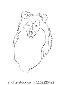dog portrait ines, lines, vector, white background