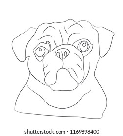 dog portrait ines, lines, vector, white background