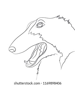 dog portrait ines, lines, vector, white background