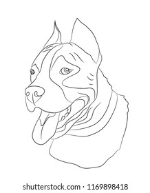 dog portrait ines, lines, vector, white background