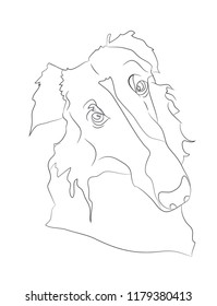 dog portrait ines lines, vector, white background
