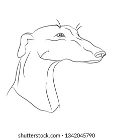 dog portrait ines lines, vector, white background