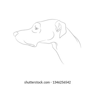 dog portrait ines lines, vector, white background