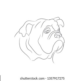 dog portrait ines lines, vector, white background