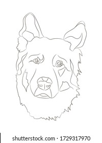 dog portrait ines lines, vector, white background