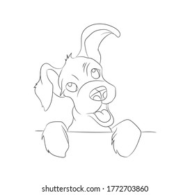 Dog Face Line Drawing High Res Stock Images Shutterstock