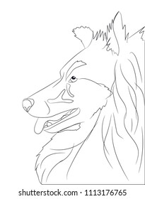 dog portrait, lines, vector, white background
