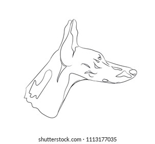 dog portrait, lines, vector, white background