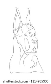 dog portrait, lines, vector, white background