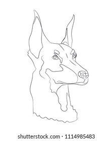 dog portrait, lines, vector, white background