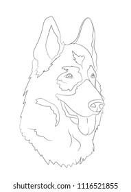 dog portrait, lines, vector, white background