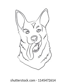 dog portrait, lines, vector, white background