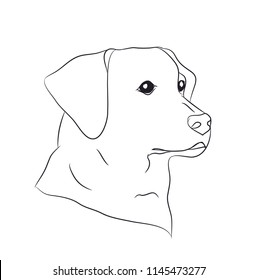 dog portrait, lines, vector, white background