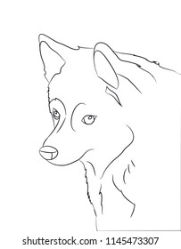 dog portrait, lines, vector, white background