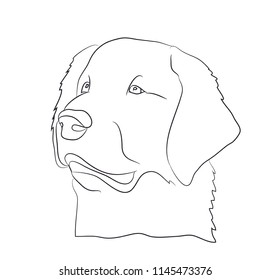 dog portrait, lines, vector, white background