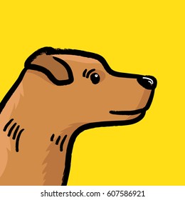 Dog portrait on yellow background