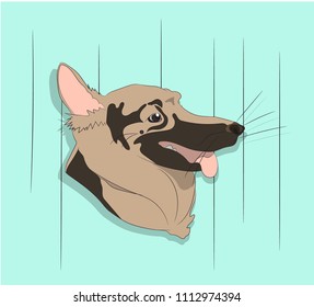 dog portrait profile